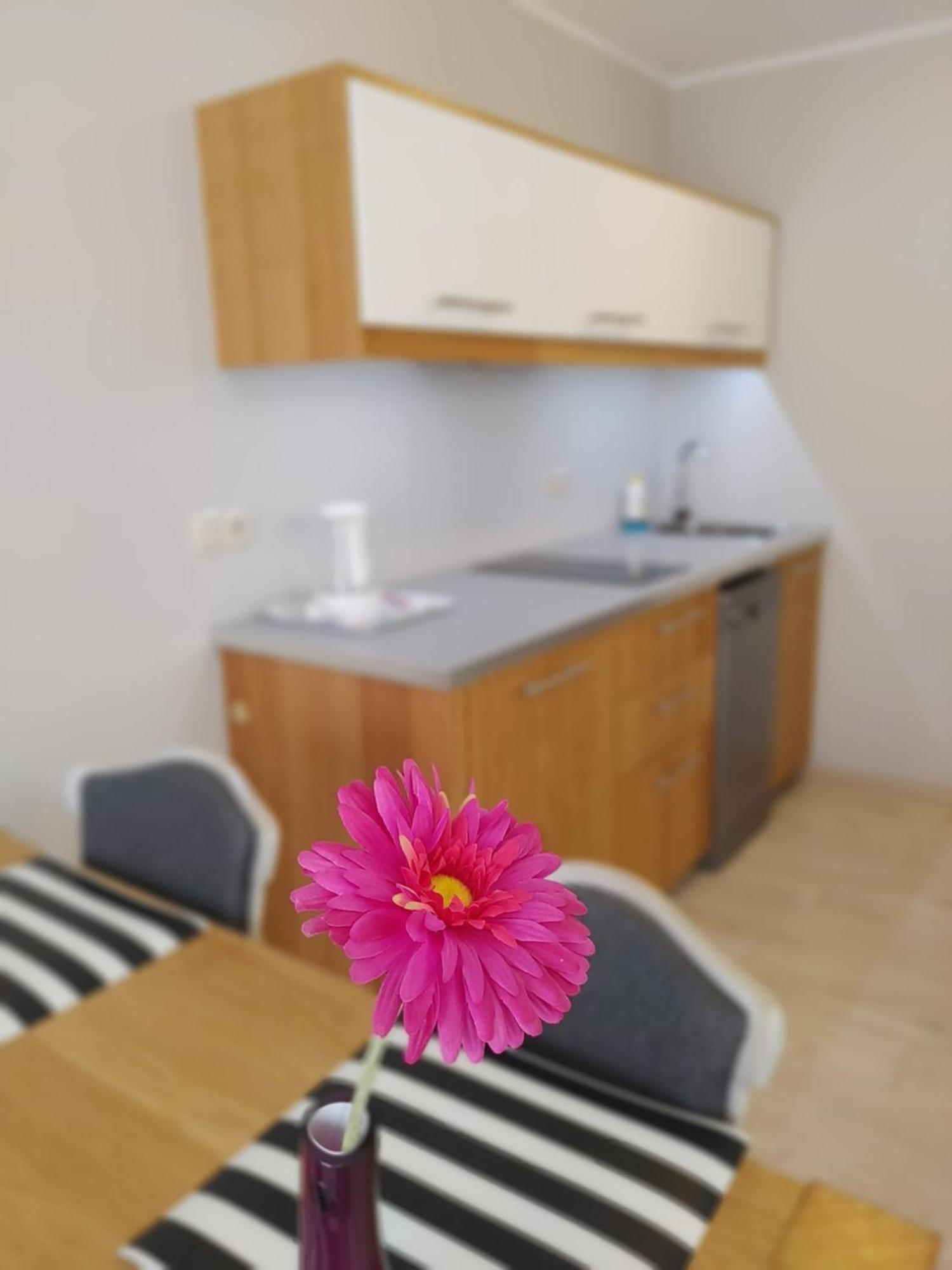 Jastrzębia Góra Aparthotel Luna&Sol المظهر الخارجي الصورة